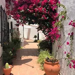 Апартаменти Garden Apartment, La Noria *