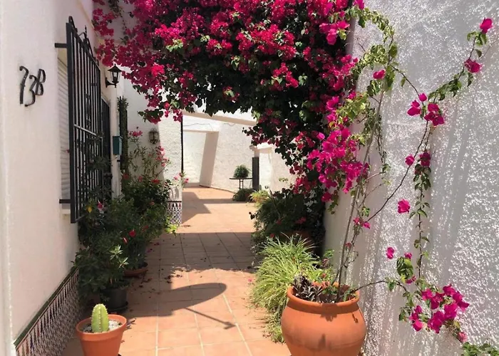 Апартаменти Garden Apartment, La Noria *